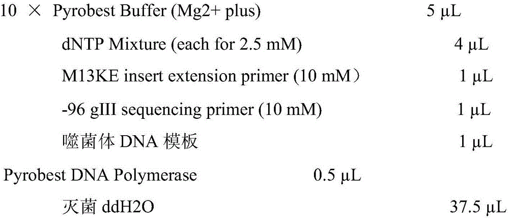 A mimetic fumonisin b  <sub>1</sub> Antigen mimotope and its use