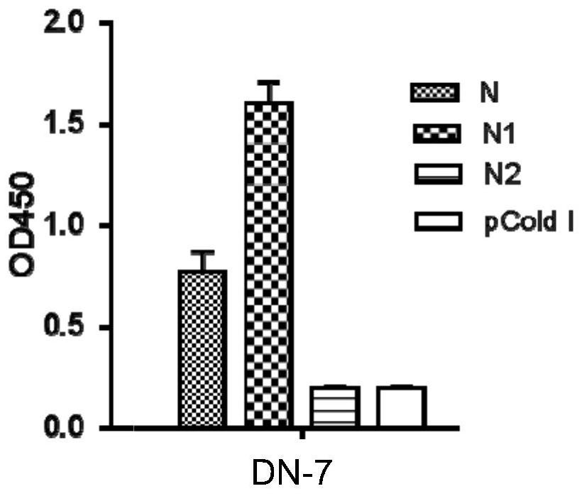 Porcine delta coronavirus n protein monoclonal antibody and its antigenic epitope and application