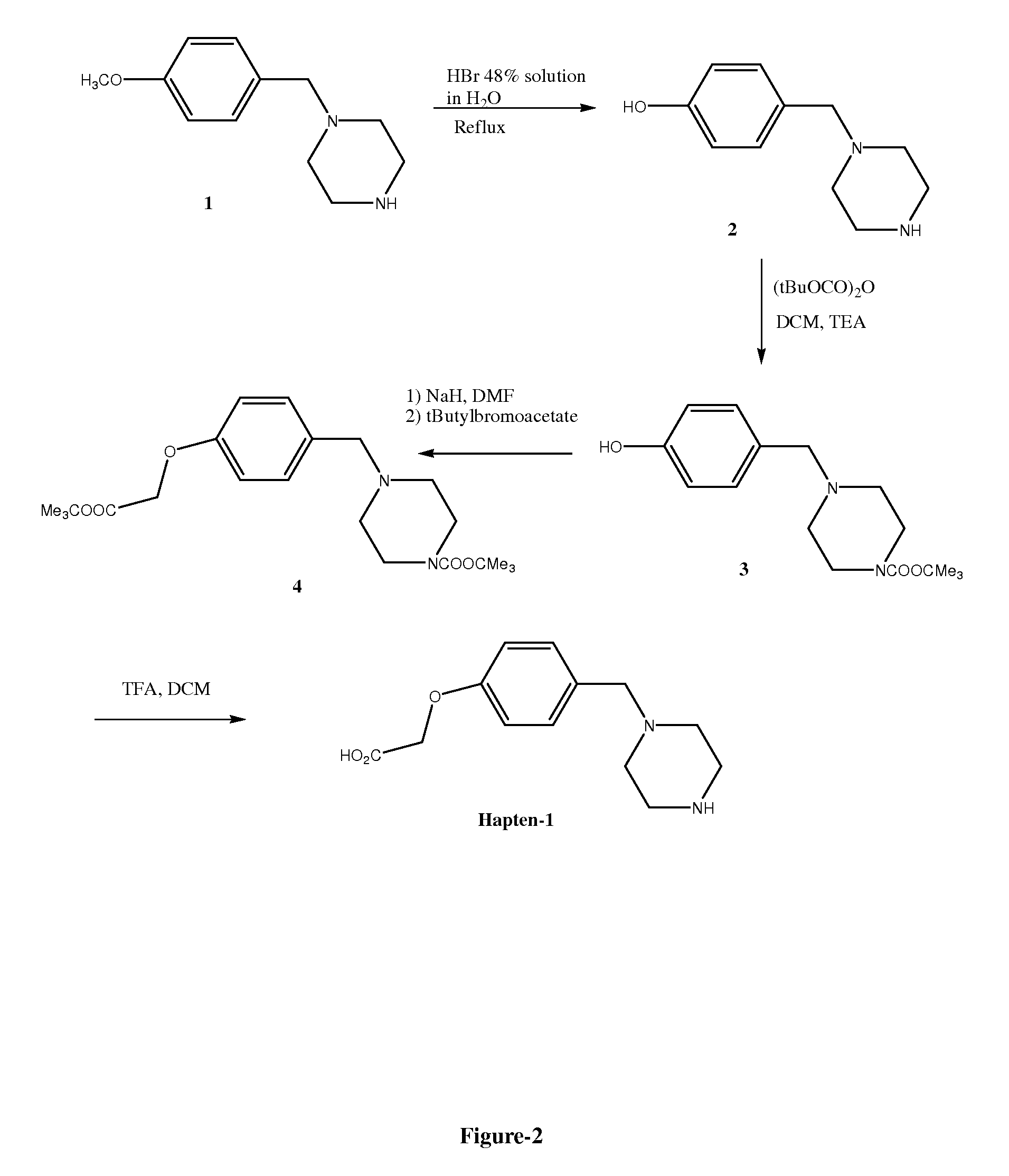 Assay for benzylpiperazine and metabolites