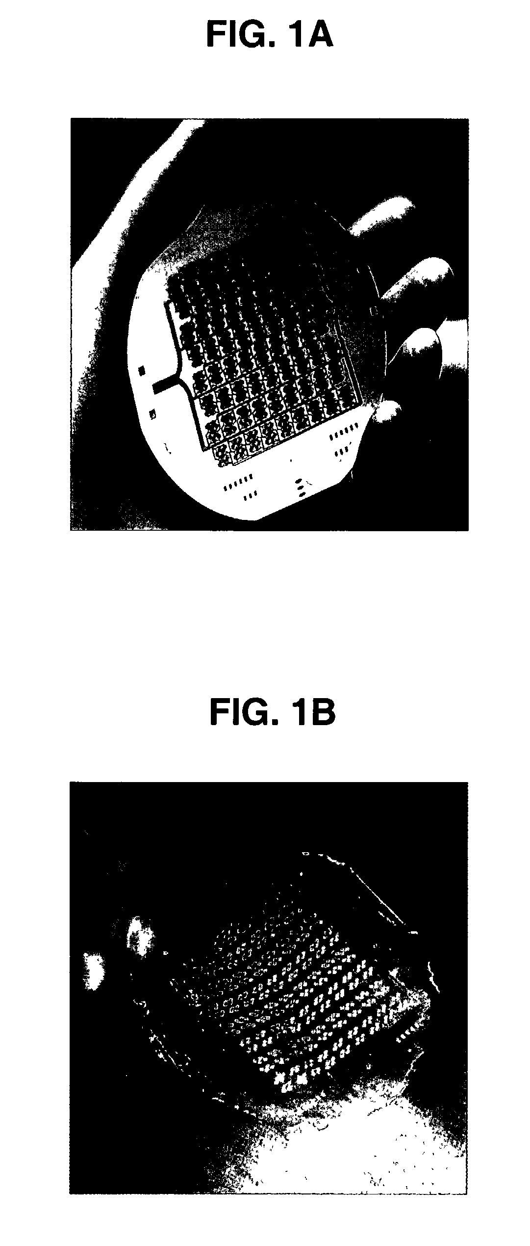 Fabrication of tissue lamina using microfabricated two-dimensional molds