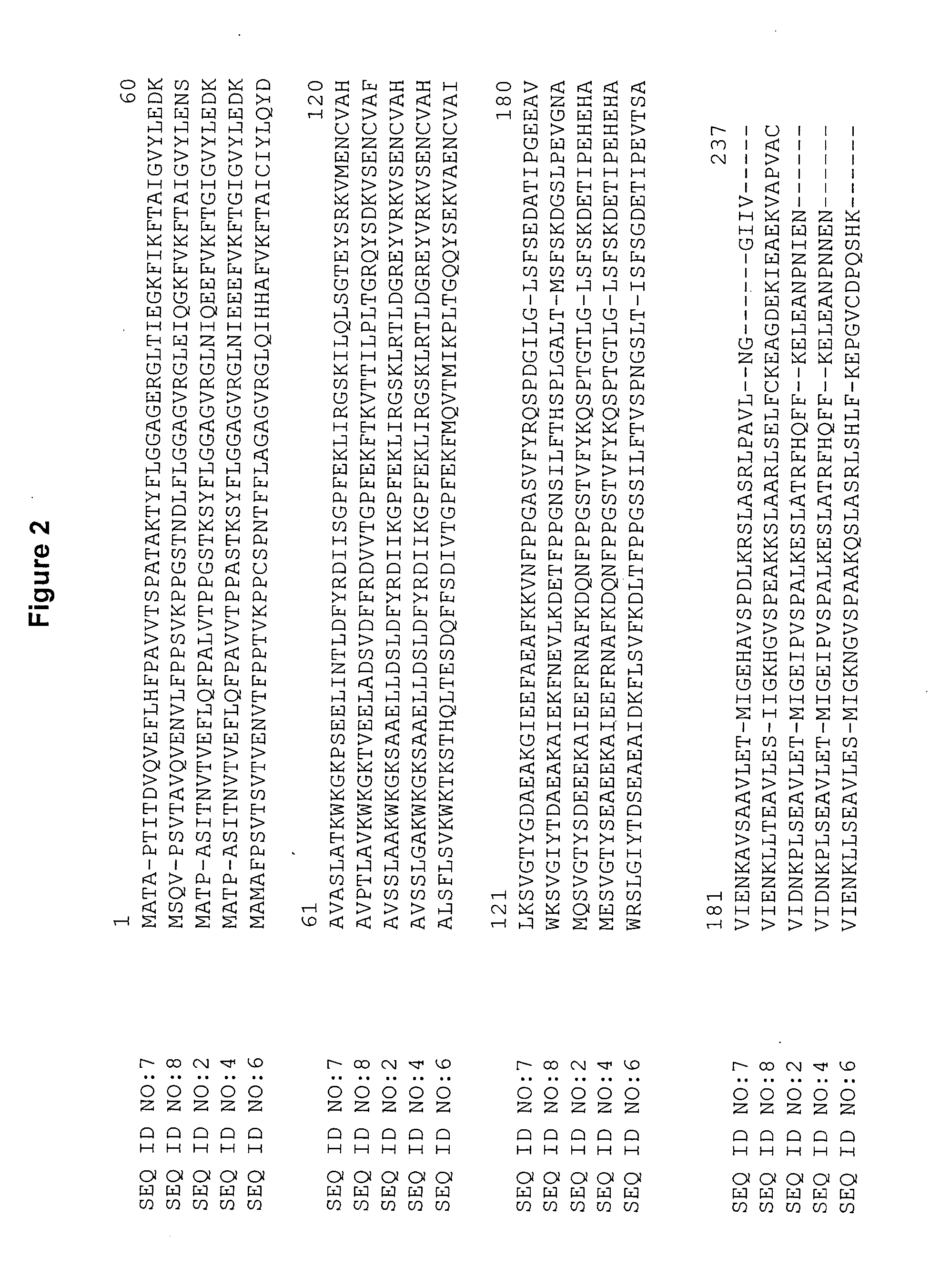 Chalcone isomerase