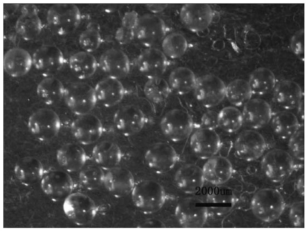 A kind of preparation method of cyclodextrin microsphere