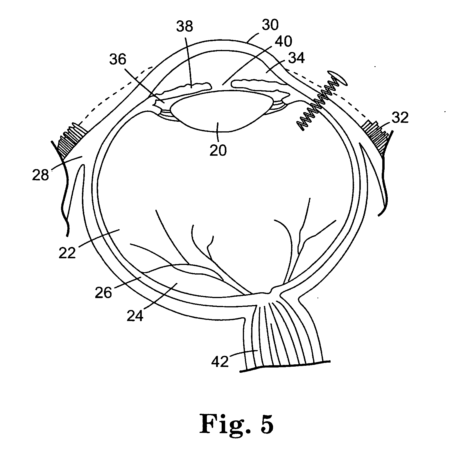 Controlled release bioactive agent delivery device