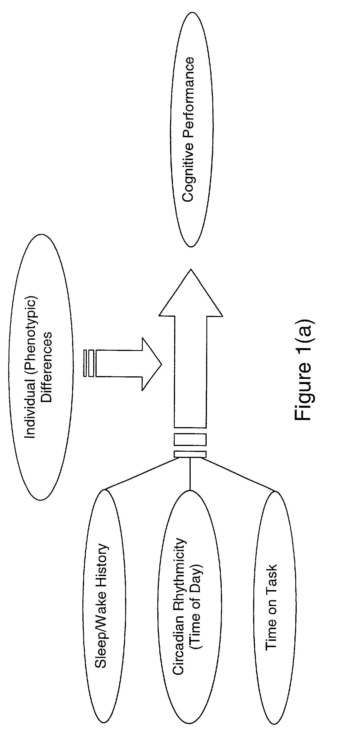 Method and system for predicting human cognitive performance