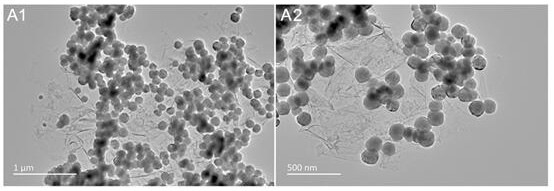 A rare earth-mxene two-dimensional material for immune-photodynamic synergistic therapy and its preparation method and application