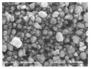 Pre-lithiated tin-lithium alloy nanoparticles for lithium-sulfur batteries, preparation method and application