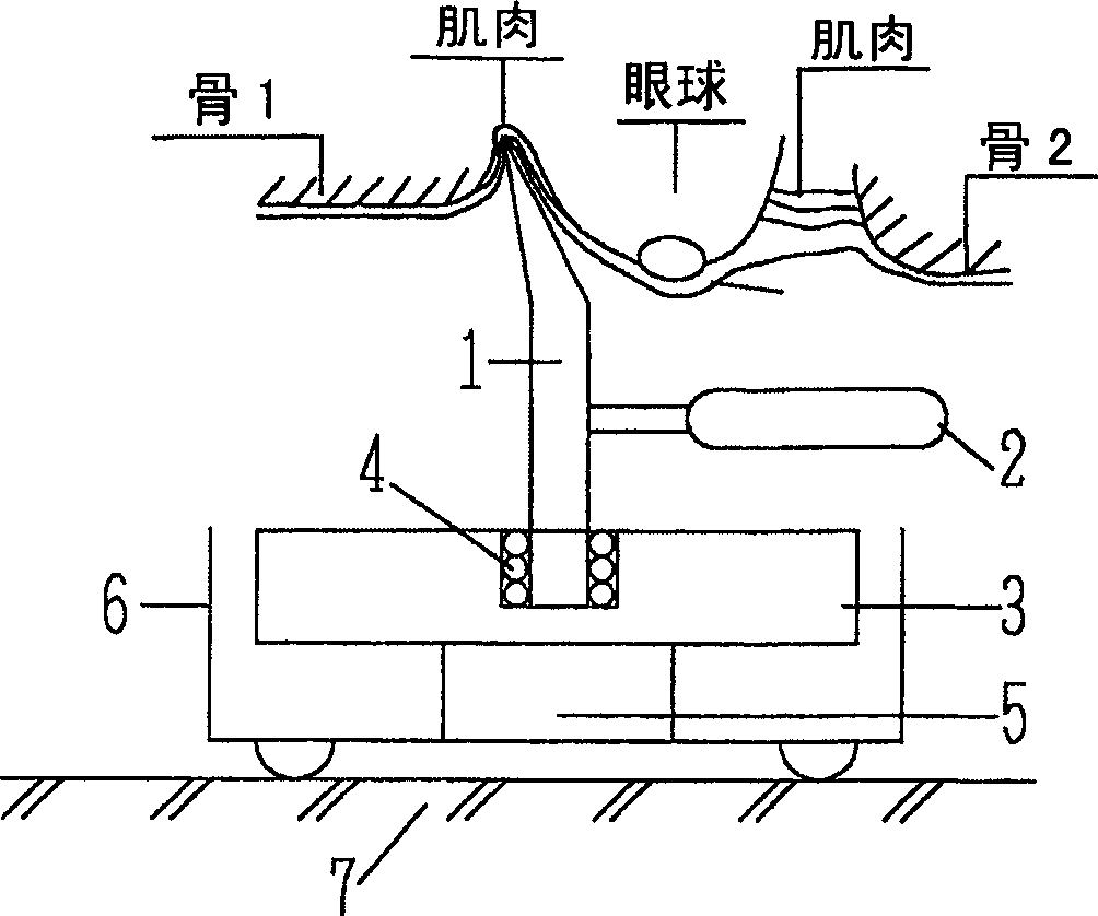 Eyesight and hair recovery device, and medical treating method