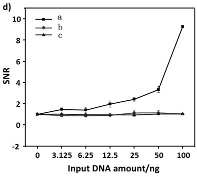 A paper-based visual detection method for nucleic acid amplification for non-diagnostic purposes
