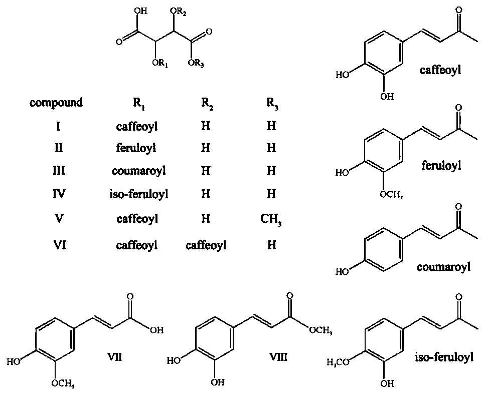 Separating preparation method of phenolic acid compounds in Echinacea purpurea