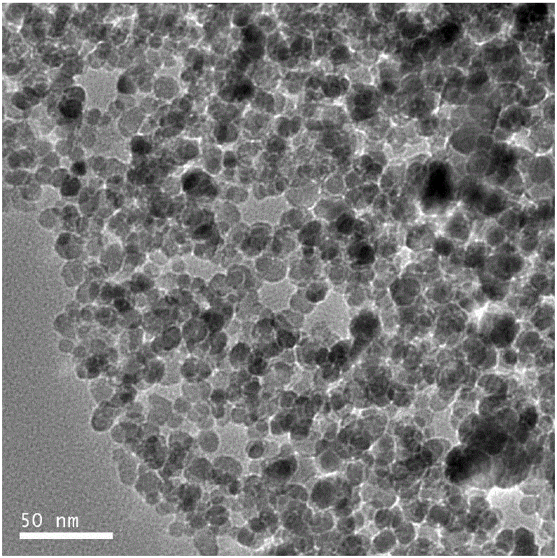 Monodisperse strong-magnetism immunologic nanoparticles and preparation method thereof