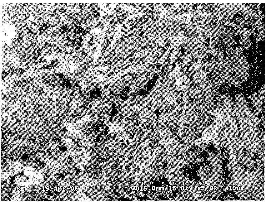 Method for fast preparing lamellate potassium titanate