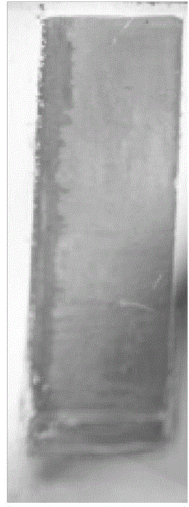 System for preparing colloidal crystal and method for preparing colloidal crystal