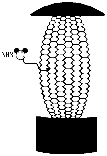 Graphene embedded echo-wall microsphere cavity monomolecular gas sensor