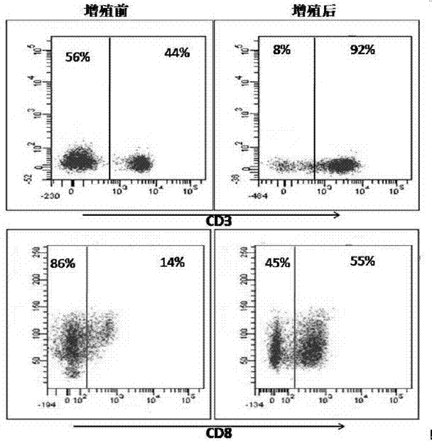 Biological membrane and preparation method and application thereof