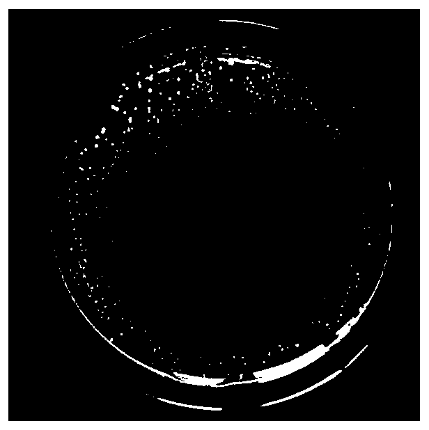 Preparation method of self-antibacterial castor oil based aqueous polyurethane emulsion