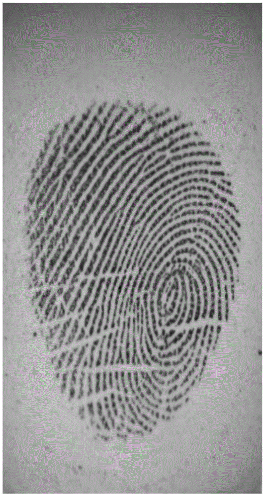 Access method and device for fingerprint mask image