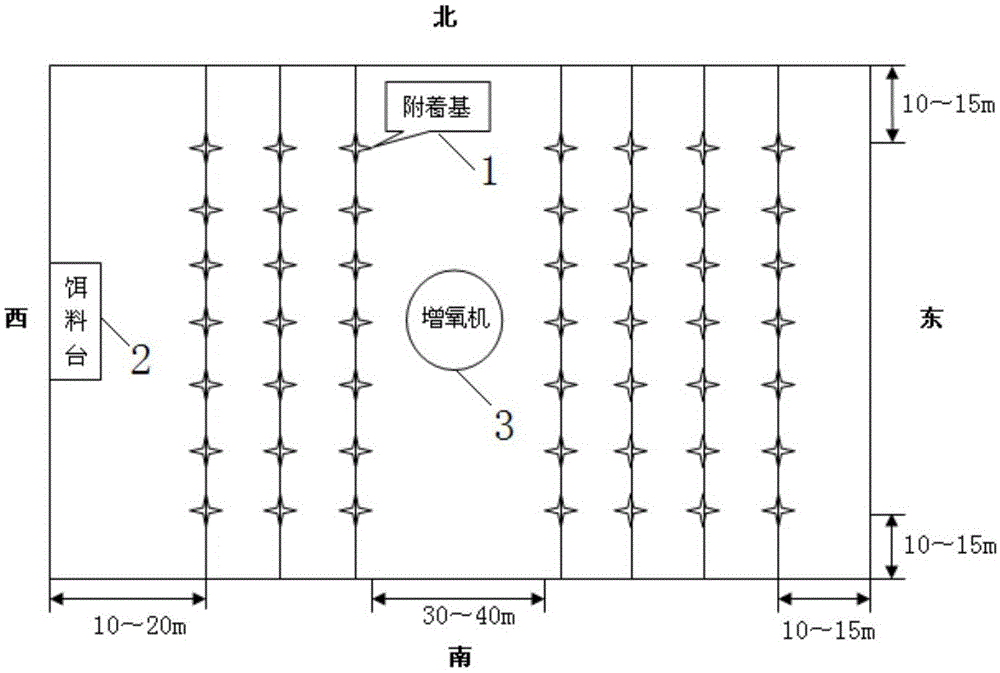 Substrate ecological crucian pond culturing method