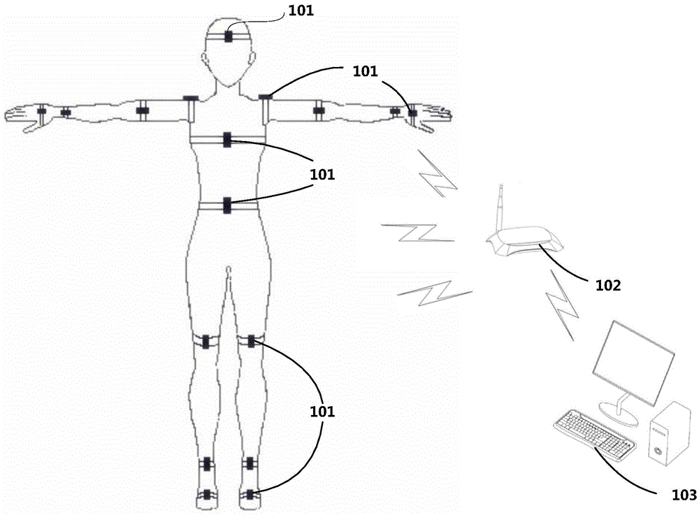 Human body movement reconstruction and analysis system and method based on inertial sensing units