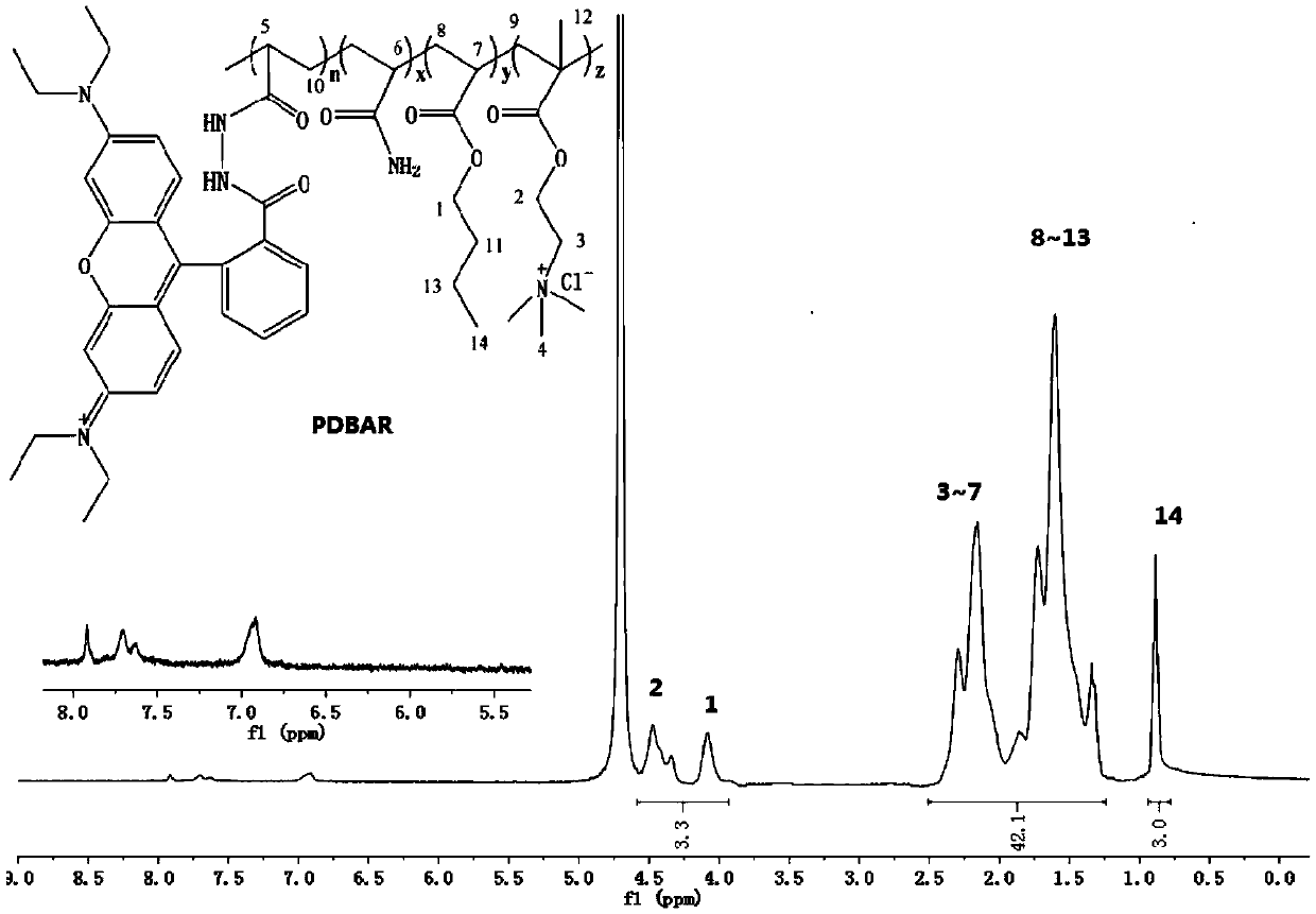 Macromolecular pH fluorescent probe for cotton transfer printing and dyeing and preparation method and application thereof