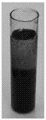 Preparation method of anthocyanin standard