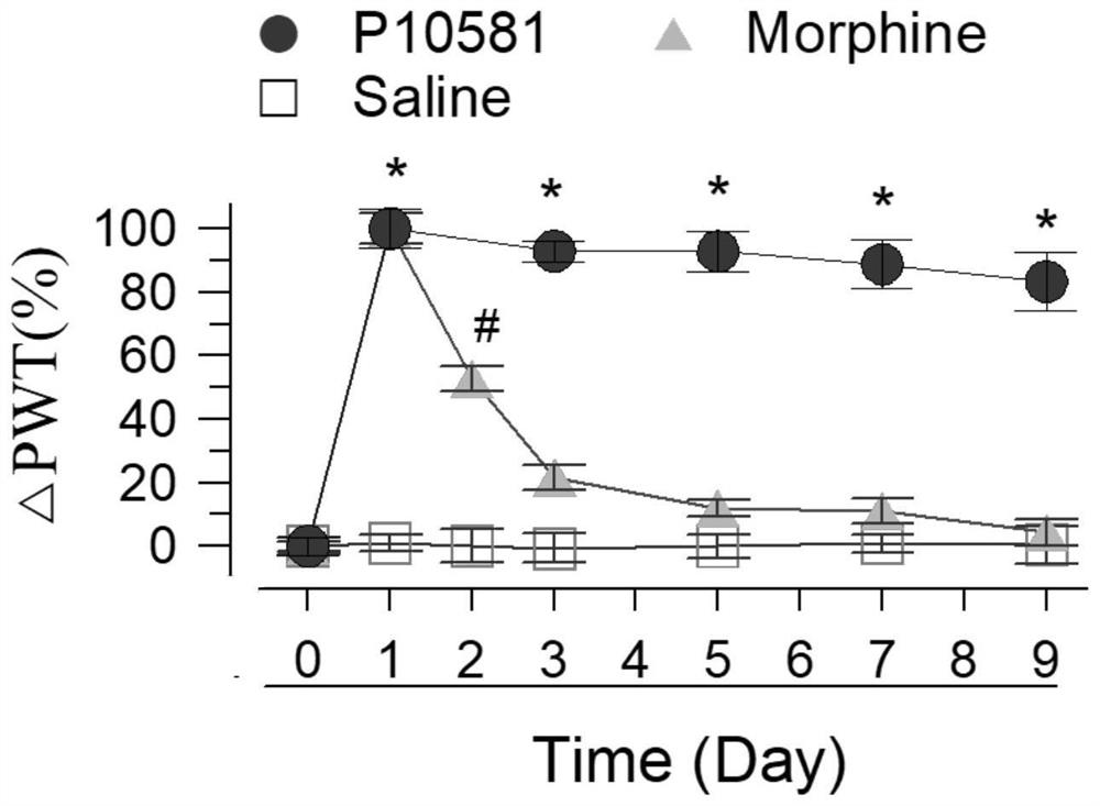 Oligopeptide capable of relieving analgesic tolerance of morphine in neuropathic pain and application of oligopeptide