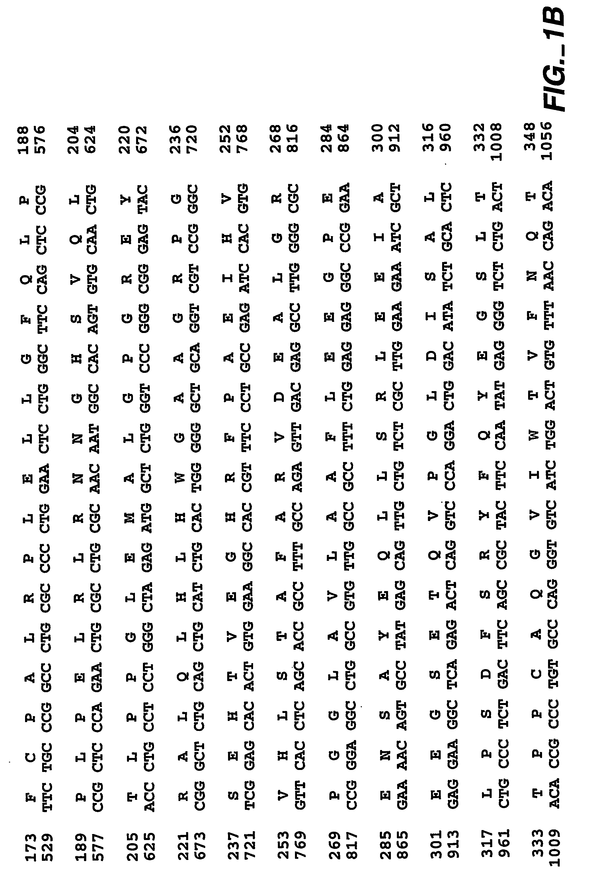 Mn/ca ix and cancer prognosis