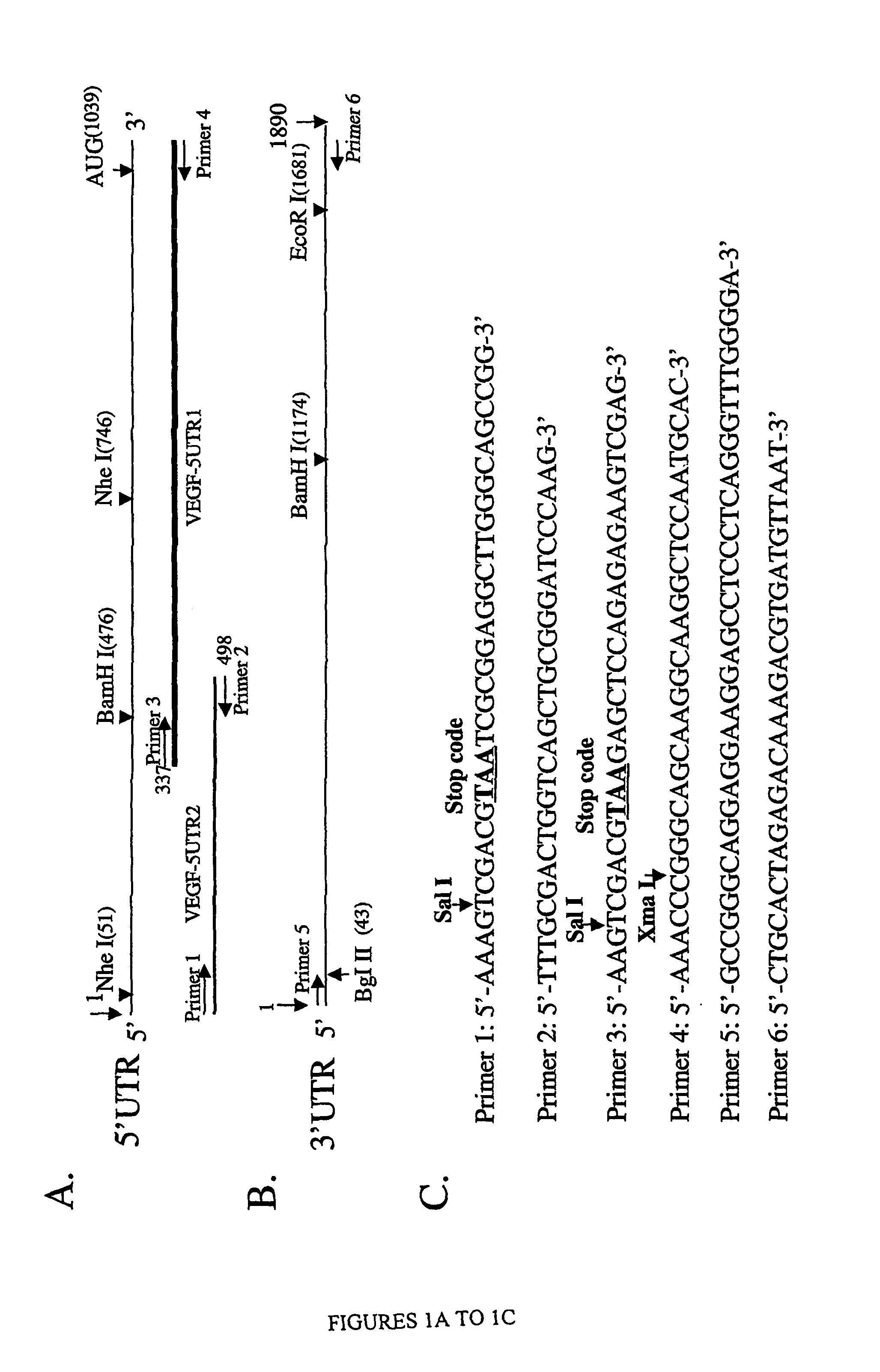 Methods for identifying compounds that modulate untranslated region-dependent gene expression and methods of using same