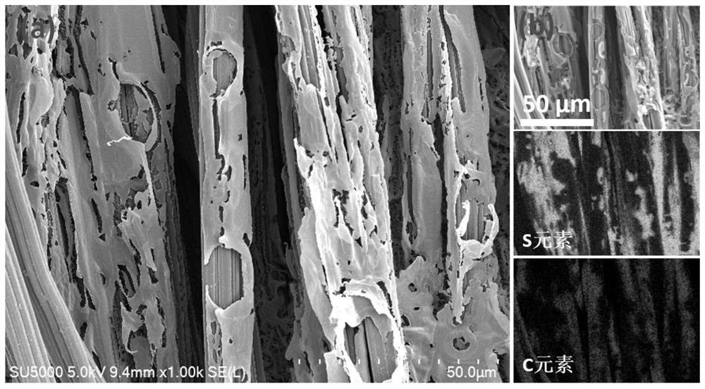 Preparation method of a porous carbon-based flexible lithium-sulfur battery positive electrode material