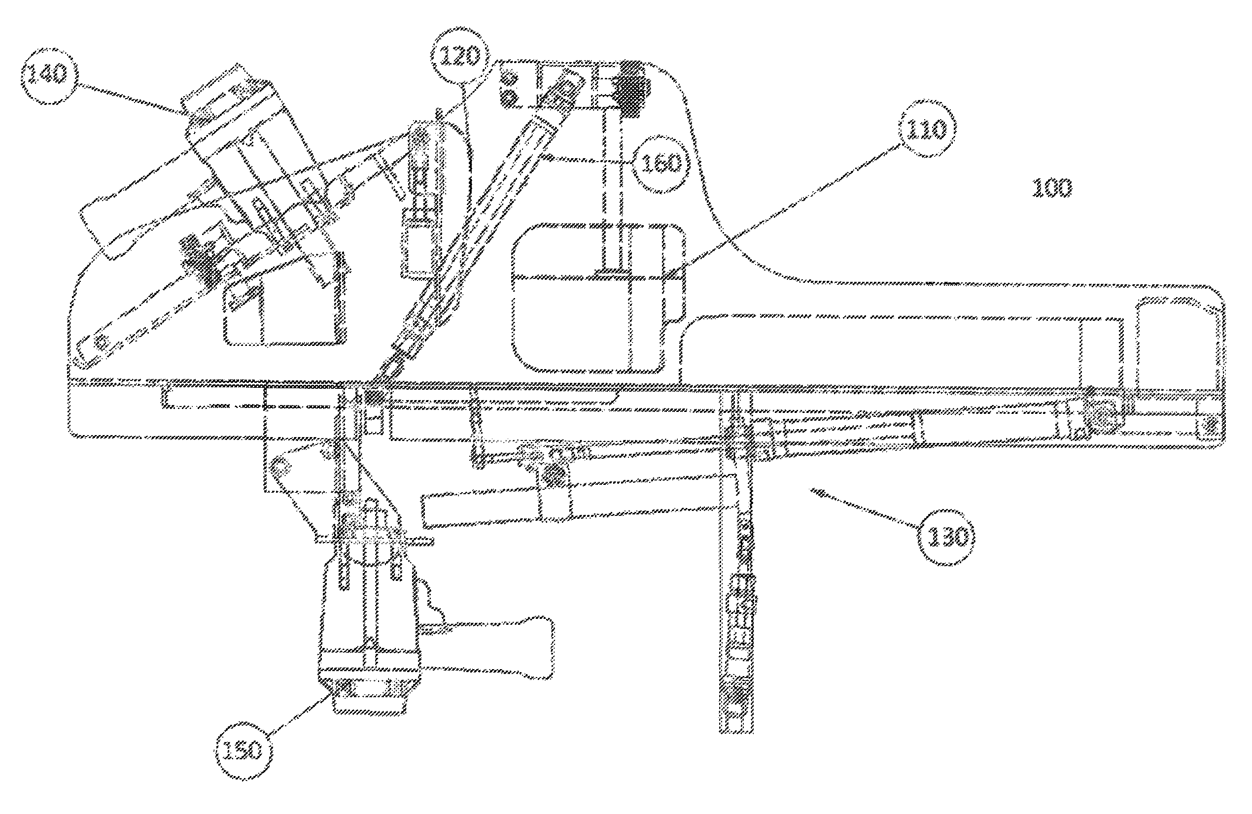 Apparatus for slaughtering fishes