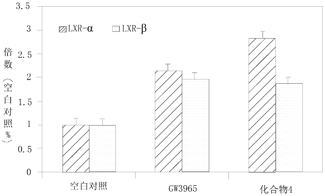 An anti-obesity drug containing wild chrysanthemum extract