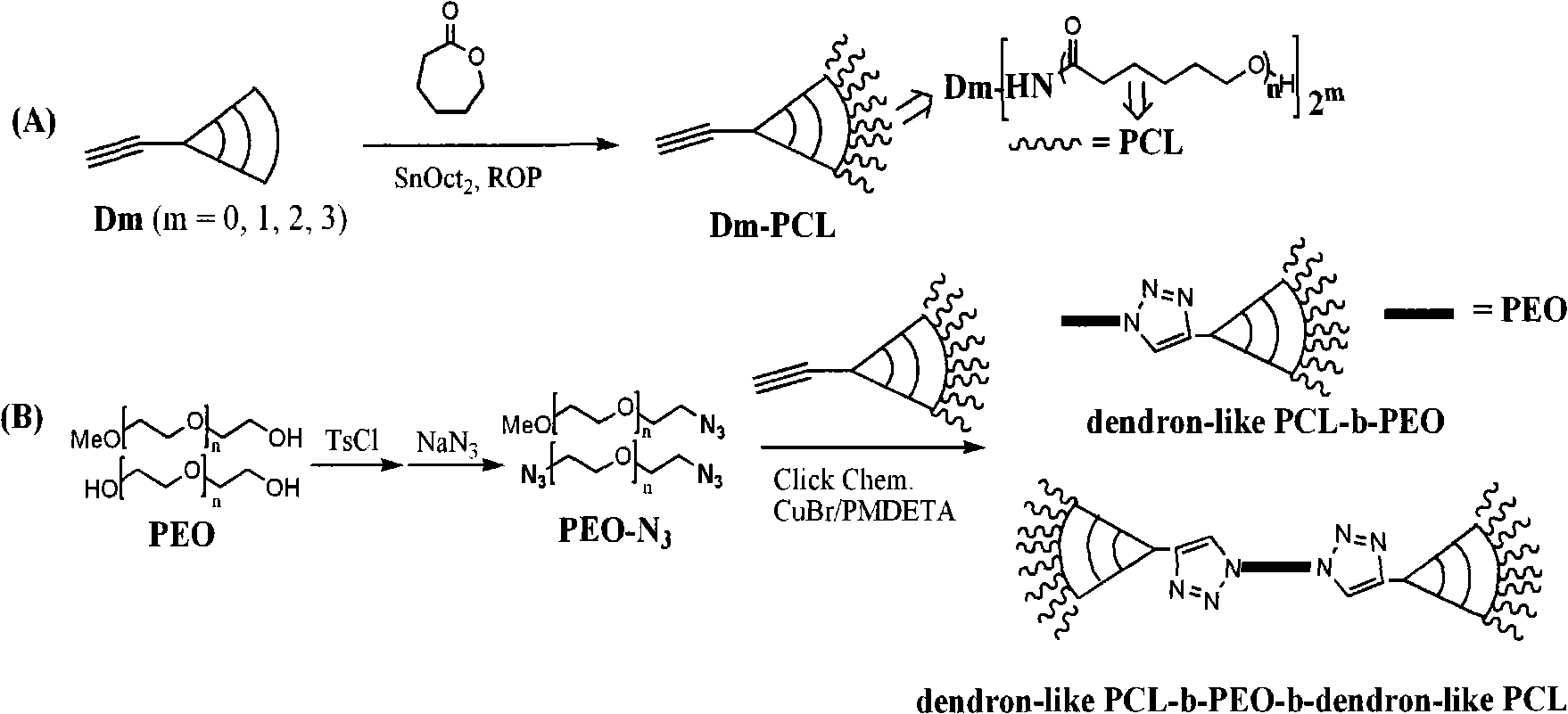 Synthetic method of non-linear structure polycaprolactone-block-polyethyleneglycol