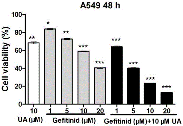 Pharmaceutical composition containing small-molecule targeted drug gefitinib and application of pharmaceutical composition to preparation of antitumor drugs