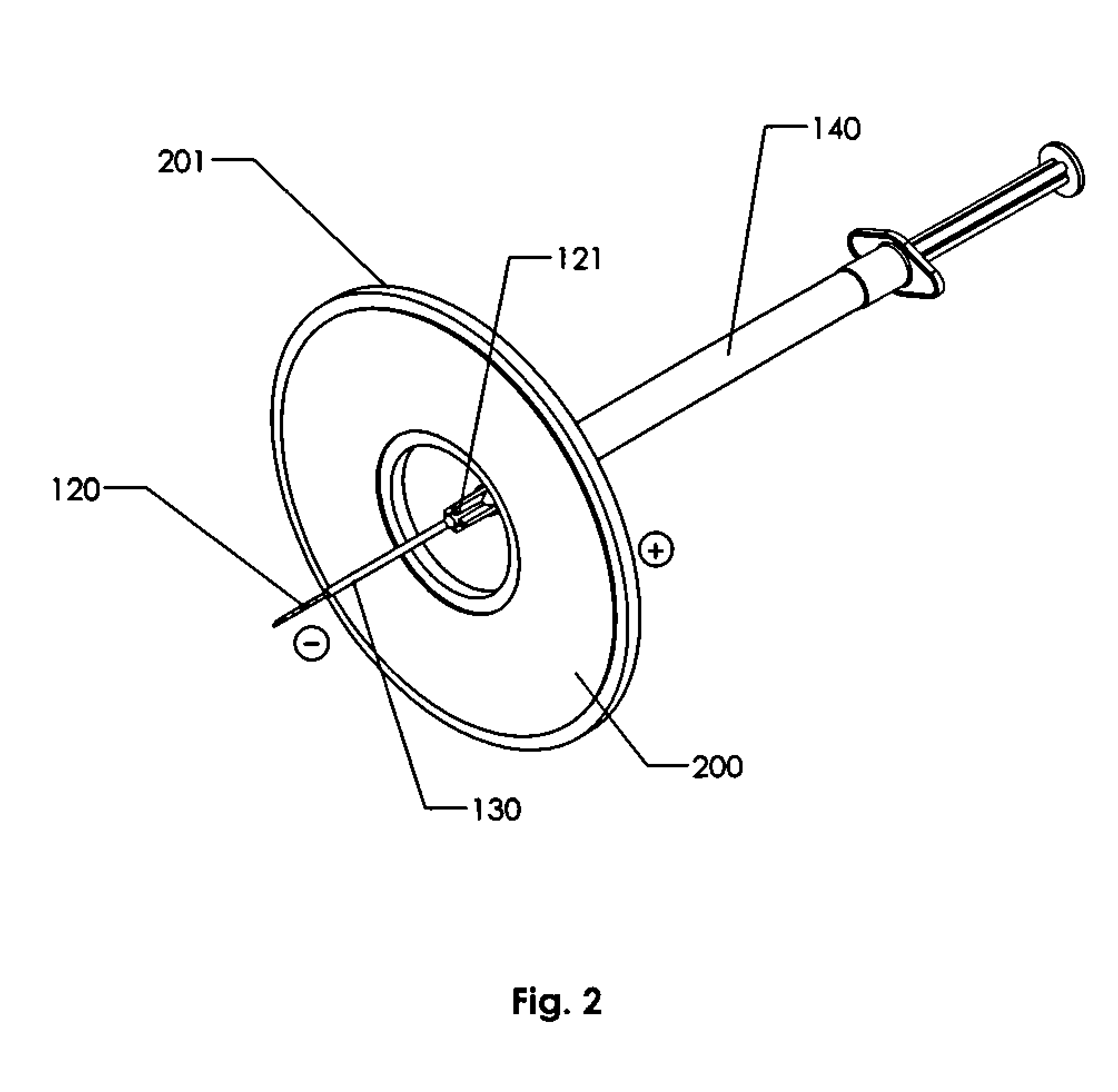 Variable current density single needle electroporation system and method
