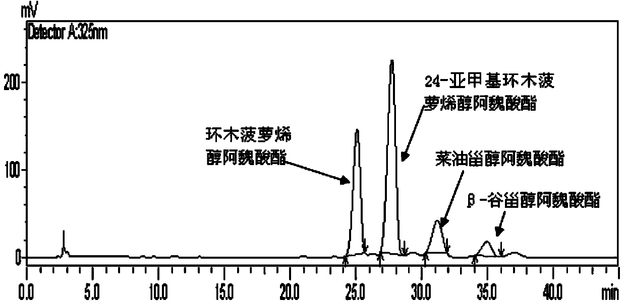 Application of sterol phenolic ester to preparation of breast cancer prevention and treatment medicine