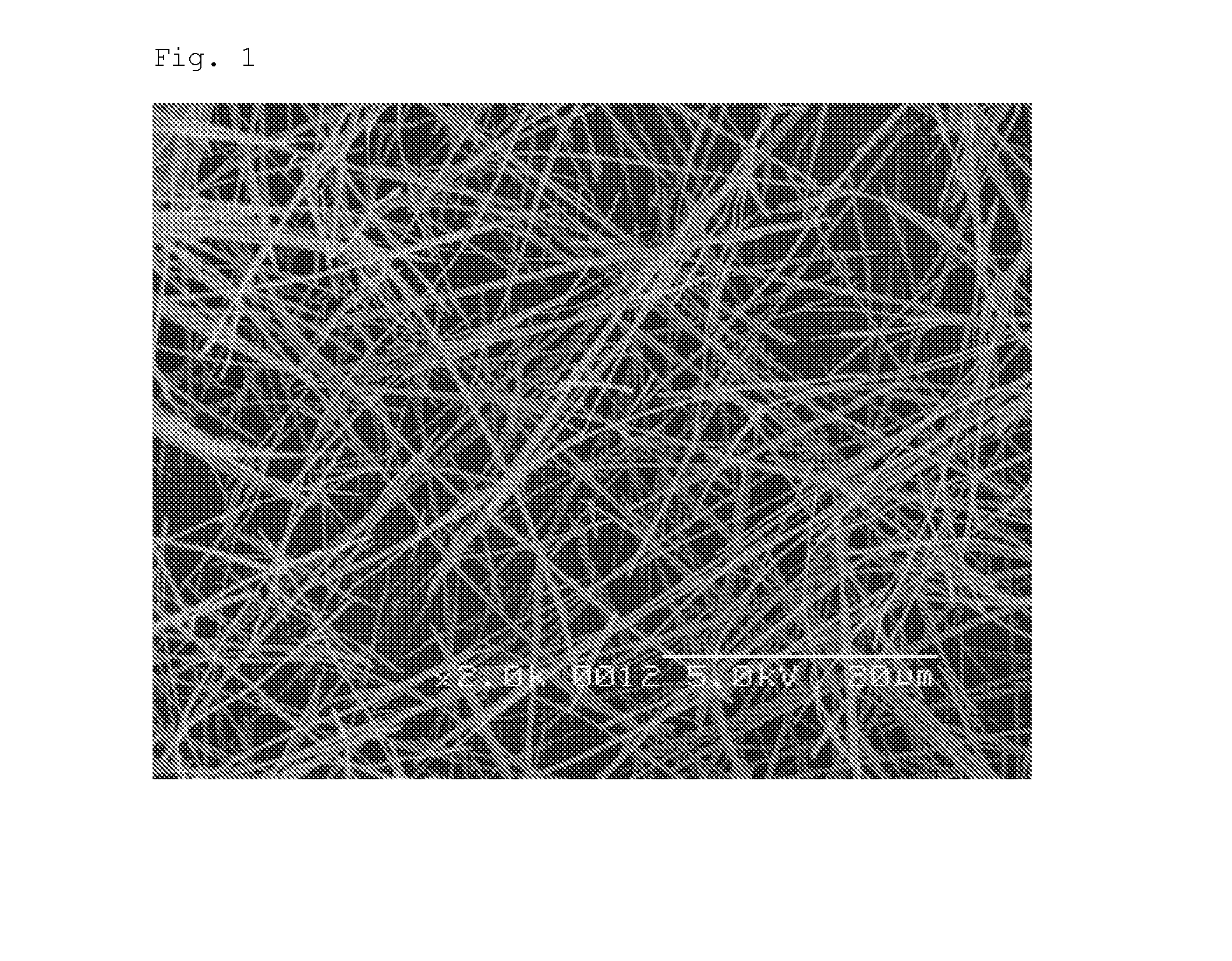 Carbon fiber and method for producing the same