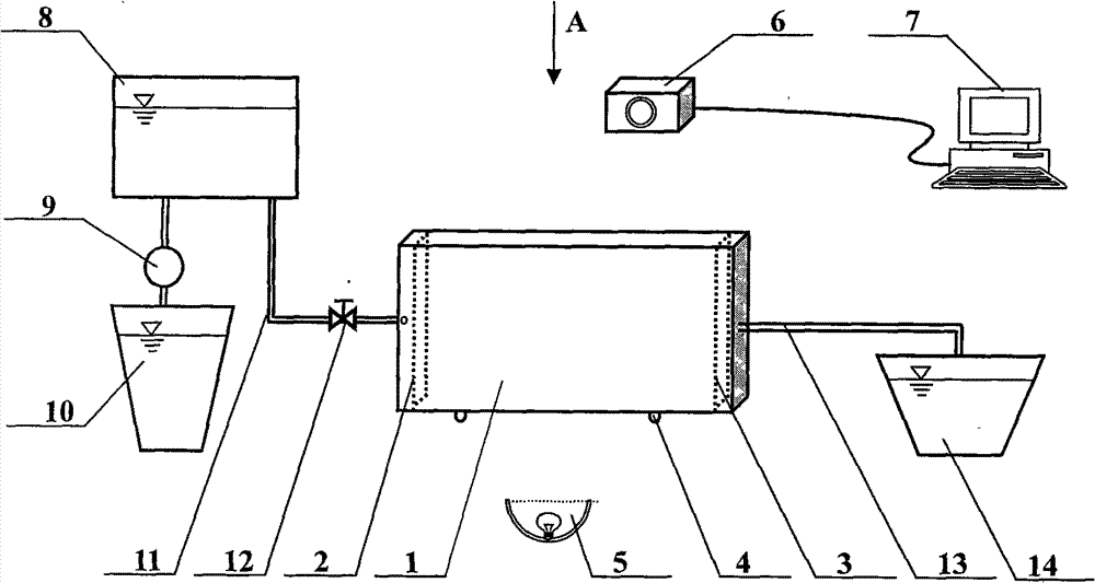 Microbe ground water seepage action clogging observation method and apparatus