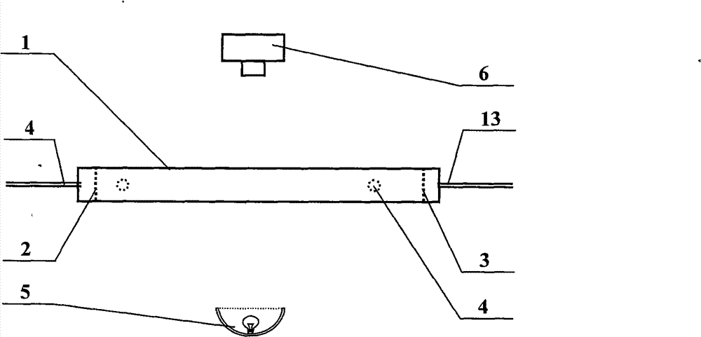 Microbe ground water seepage action clogging observation method and apparatus