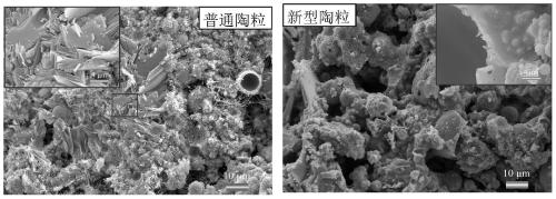 Preparation method of porous ceramsite, product and application of porous ceramsite in concrete subway track acoustic board