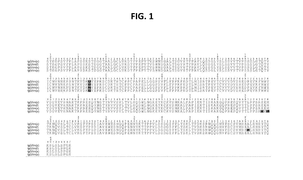 Anti-death receptor antibodies and methods of use thereof