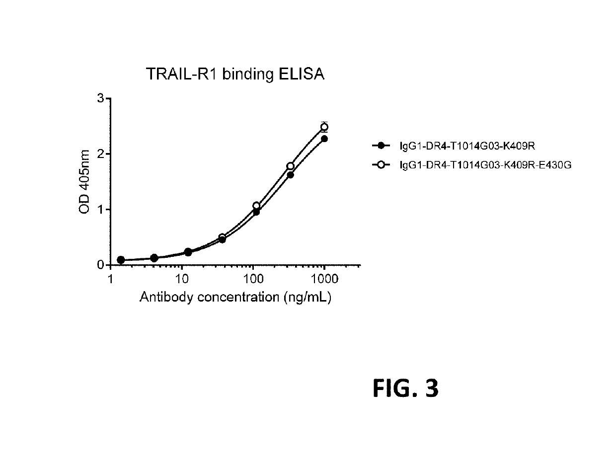 Anti-death receptor antibodies and methods of use thereof