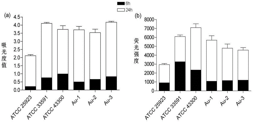 Use of oxazolidinone compound for resisting biofilm