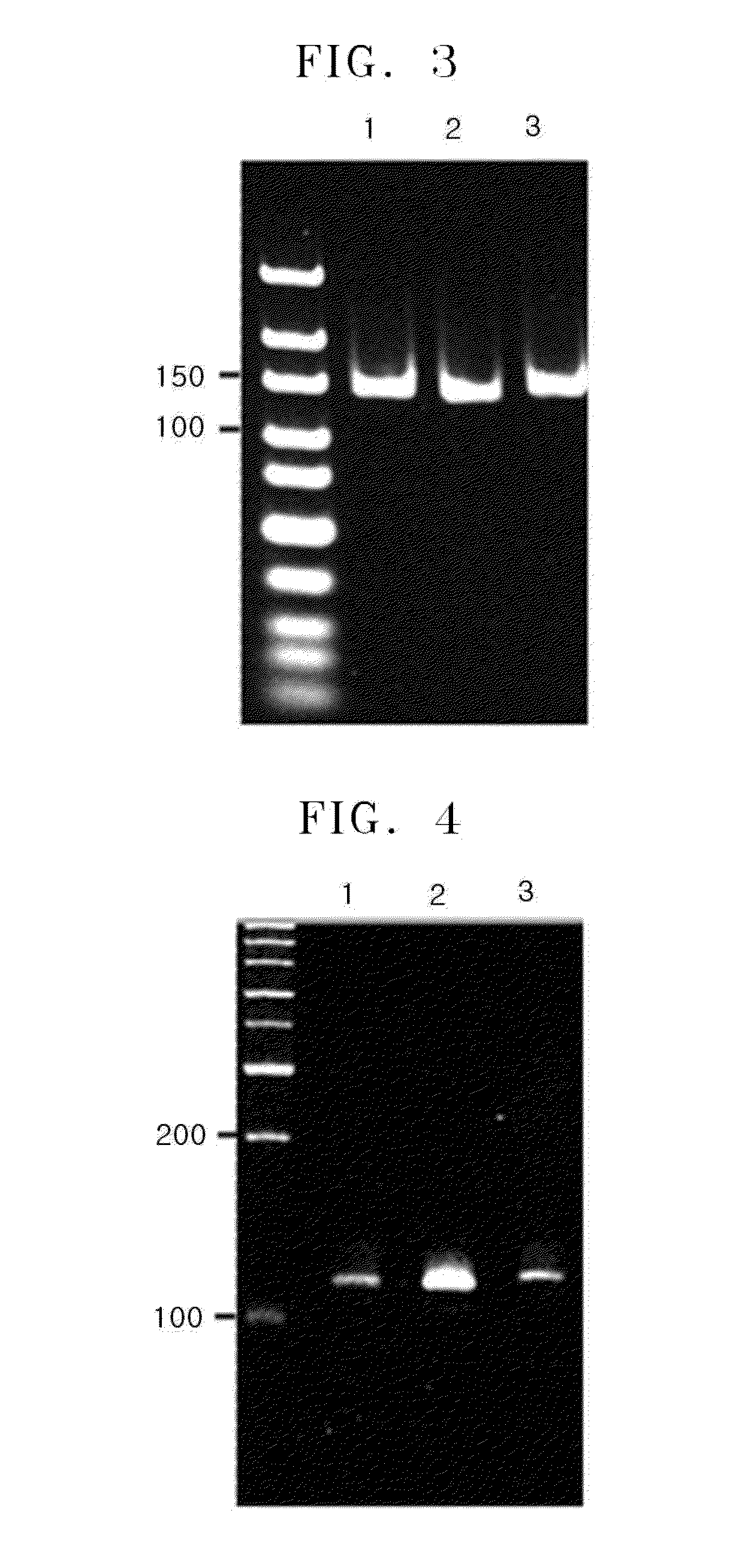 Method of amplifying DNA from RNA in a sample