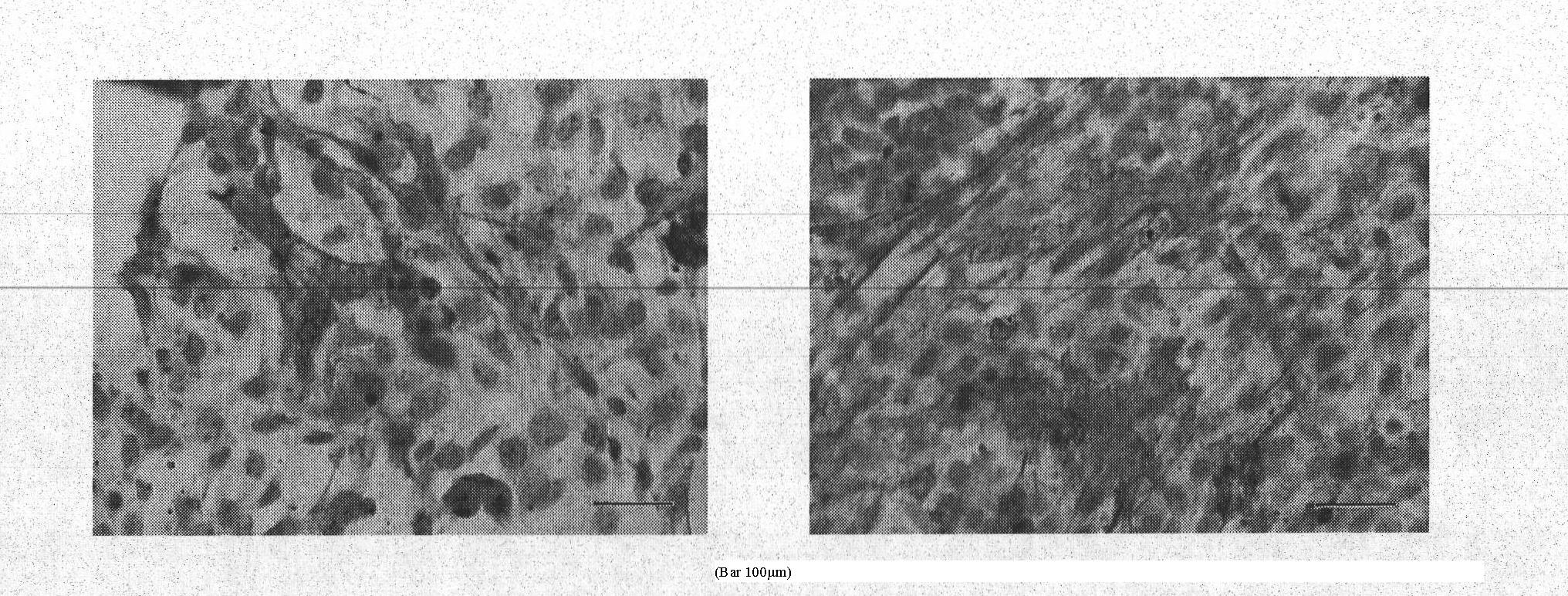 Method for inducing in vitro directed differentiation of stem cells through non-contact coculture