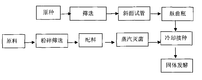 Xylanase/cellobiase composite enzyme and preparation method thereof