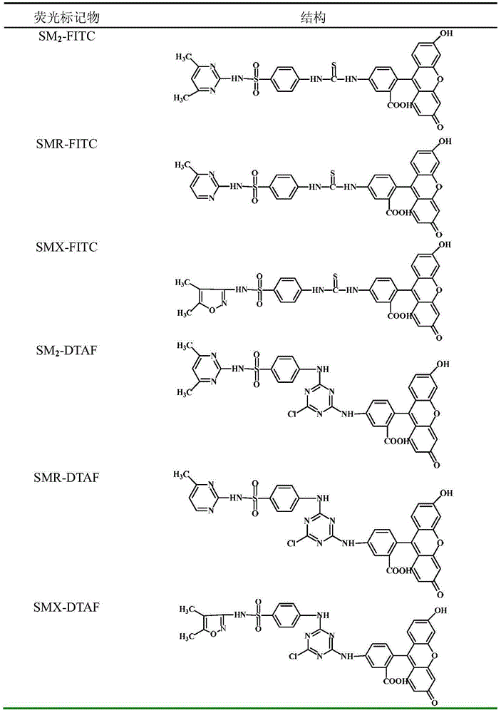 Fluorescence polarization immunoassay method for detecting SM2 (sulfamethazine) on basis of egg yolk antibodies