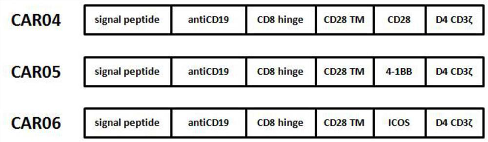 A chimeric antigen receptor (car) targeting CD19 and its application