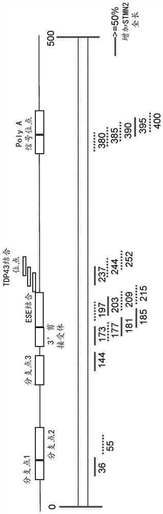 Oligonucleotides and methods for treating neurological diseases