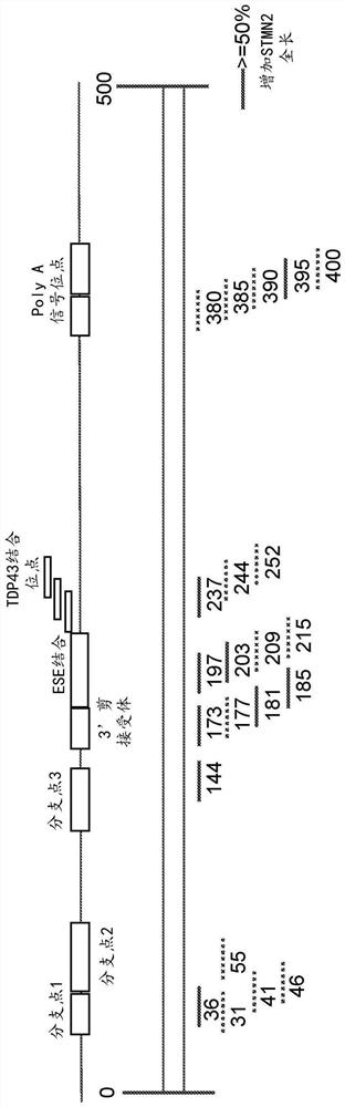 Oligonucleotides and methods for treating neurological diseases