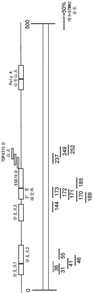 Oligonucleotides and methods for treating neurological diseases