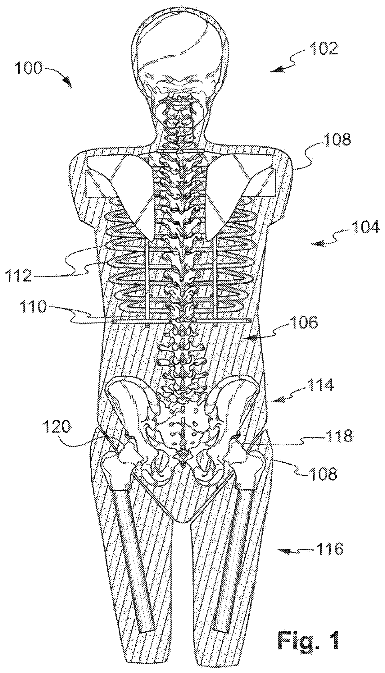 Anatomic chiropractic training mannequin with network of pressure sensors
